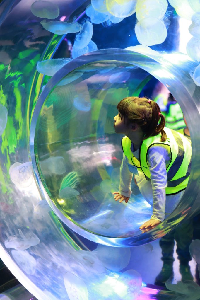 20230608 Sealife Excursion (1)