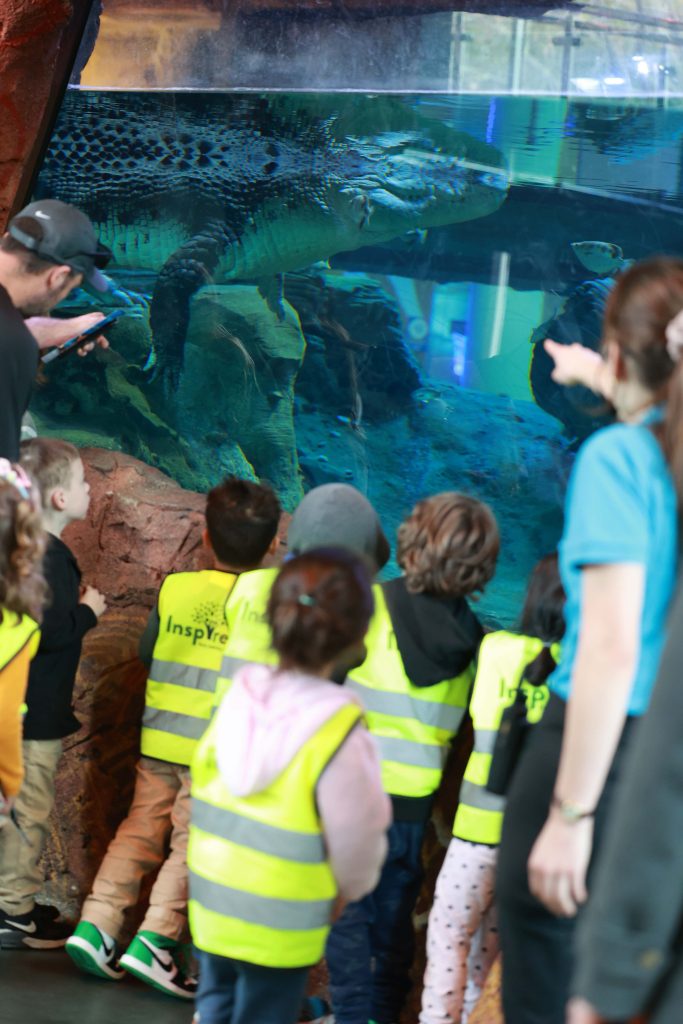 20230608 Sealife Excursion (2)