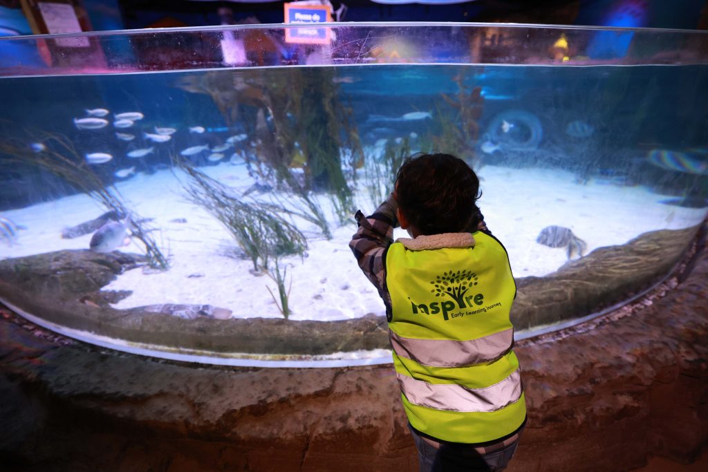 20230608 Sealife Excursion (3)