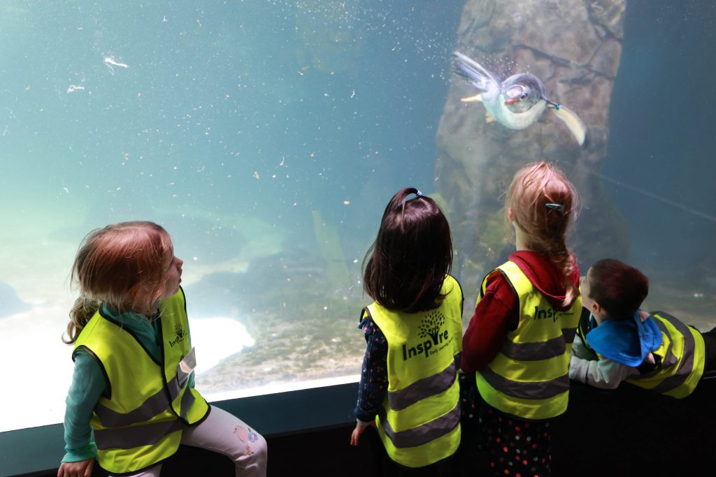 20230608 Sealife Excursion (8)